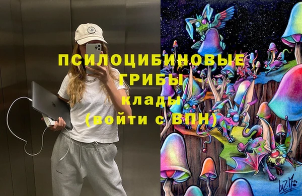 дмт Лабытнанги