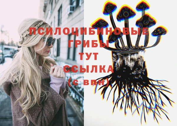 apvp Абаза
